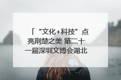 “文化+科技”点亮荆楚之美 第二十一届深圳文博会湖北馆抢“鲜”看