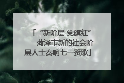 “新阶层 党旗红”——菏泽市新的社会阶层人士奏响七一赞歌
