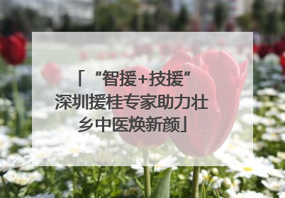 “智援+技援” 深圳援桂专家助力壮乡中医焕新颜