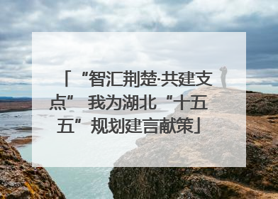 “智汇荆楚·共建支点” 我为湖北“十五五”规划建言献策