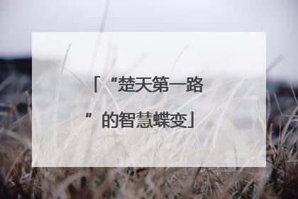 “楚天第一路”的智慧蝶变