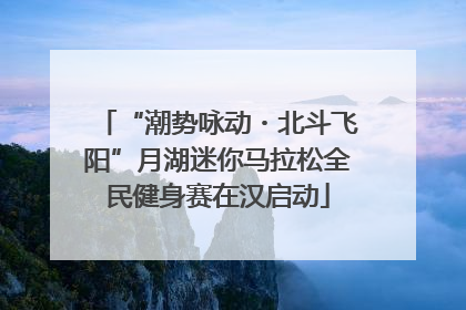 “潮势咏动・北斗飞阳”月湖迷你马拉松全民健身赛在汉启动