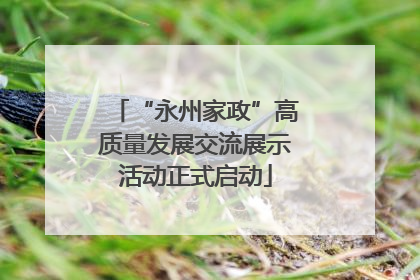 “永州家政”高质量发展交流展示活动正式启动