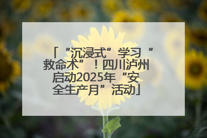 “沉浸式”学习“救命术”！四川泸州启动2025年“安全生产月”活动