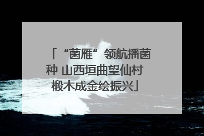 “菌雁”领航播菌种 山西垣曲望仙村椴木成金绘振兴