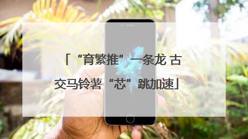 “育繁推”一条龙 古交马铃薯“芯”跳加速