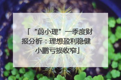 “蔚小理”一季度财报分析：理想盈利稳健 小鹏亏损收窄