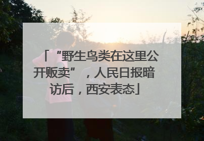 “野生鸟类在这里公开贩卖”，人民日报暗访后，西安表态