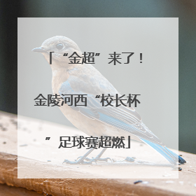 “金超”来了！金陵河西“校长杯”足球赛超燃