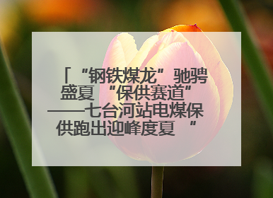 “钢铁煤龙”驰骋盛夏 “保供赛道”——七台河站电煤保供跑出迎峰度夏 “加速度”