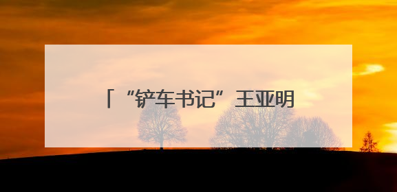 “铲车书记”王亚明：铁臂护航夏种水脉