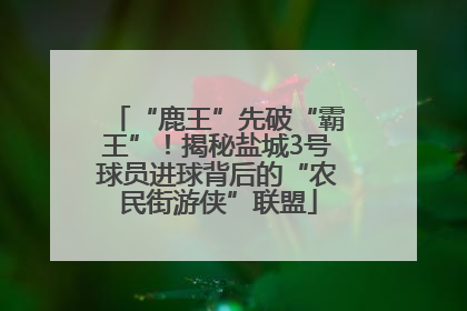 “鹿王”先破“霸王”！揭秘盐城3号球员进球背后的“农民街游侠”联盟