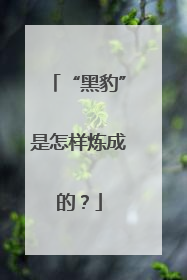 “黑豹”是怎样炼成的？