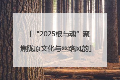 “2025根与魂”聚焦陇原文化与丝路风韵