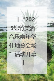 “2025绵竹美酒音乐嘉年华什地分会场”活动开幕