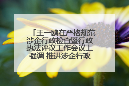 王一鸥在严格规范涉企行政检查暨行政执法评议工作会议上强调 推进涉企行政检查质效大幅提升