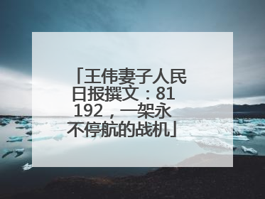 王伟妻子人民日报撰文：81192，一架永不停航的战机