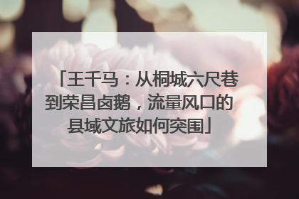 王千马：从桐城六尺巷到荣昌卤鹅，流量风口的县域文旅如何突围