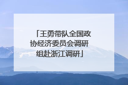王勇带队全国政协经济委员会调研组赴浙江调研
