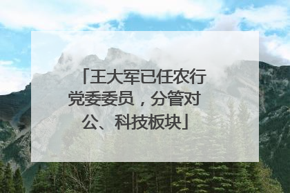 王大军已任农行党委委员，分管对公、科技板块
