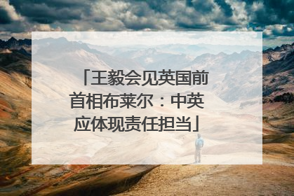 王毅会见英国前首相布莱尔：中英应体现责任担当