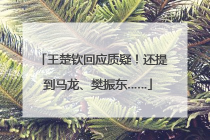 王楚钦回应质疑！还提到马龙、樊振东……