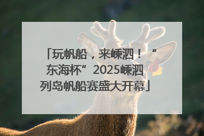 玩帆船，来嵊泗！“东海杯”2025嵊泗列岛帆船赛盛大开幕