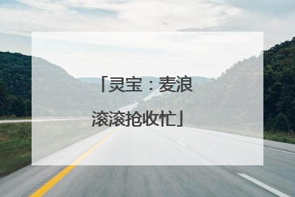 灵宝：麦浪滚滚抢收忙