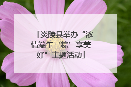 炎陵县举办“浓情端午‘粽’享美好”主题活动