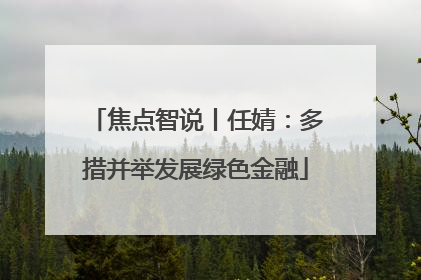 焦点智说丨任婧：多措并举发展绿色金融