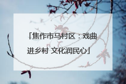 焦作市马村区：戏曲进乡村 文化润民心