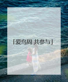 爱鸟周 共参与