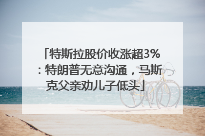 特斯拉股价收涨超3%：特朗普无意沟通，马斯克父亲劝儿子低头