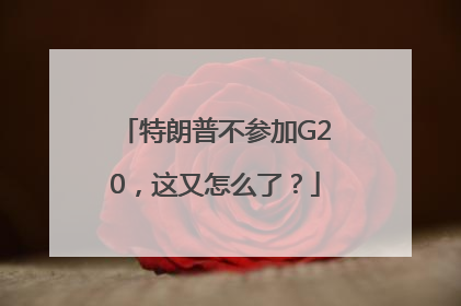 特朗普不参加G20，这又怎么了？