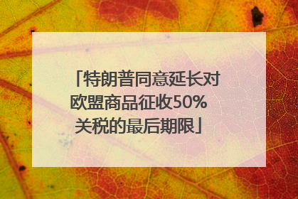 特朗普同意延长对欧盟商品征收50%关税的最后期限