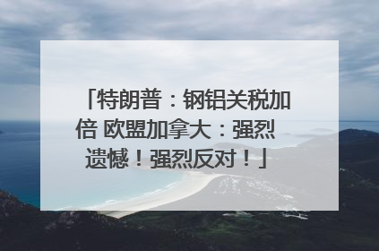 特朗普：钢铝关税加倍 欧盟加拿大：强烈遗憾！强烈反对！