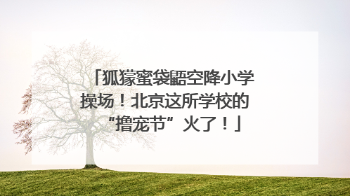 狐獴蜜袋鼯空降小学操场！北京这所学校的“撸宠节”火了！