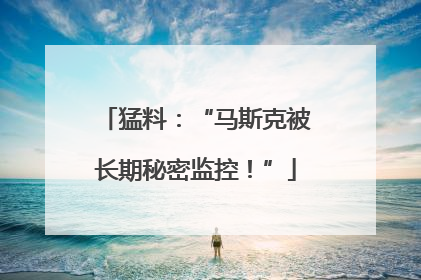 猛料：“马斯克被长期秘密监控！”