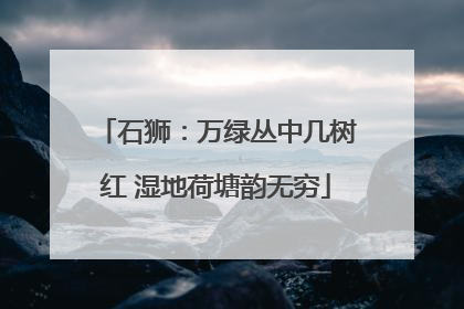 石狮：万绿丛中几树红 湿地荷塘韵无穷