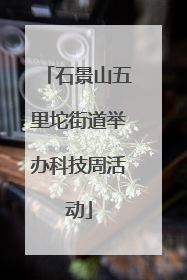 石景山五里坨街道举办科技周活动