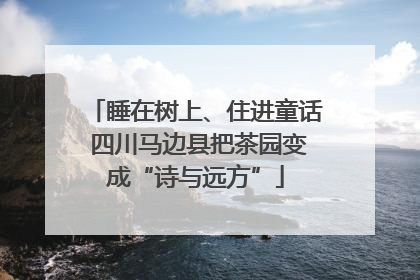 睡在树上、住进童话 四川马边县把茶园变成“诗与远方”