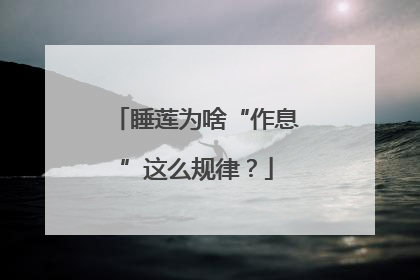 睡莲为啥“作息”这么规律？