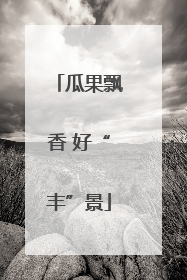 瓜果飘香 好“丰”景