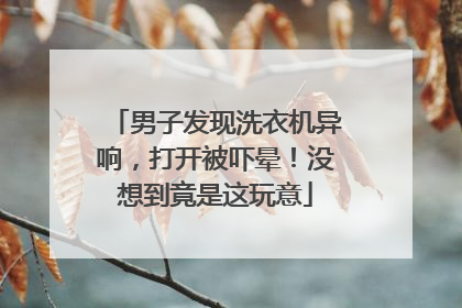 男子发现洗衣机异响，打开被吓晕！没想到竟是这玩意