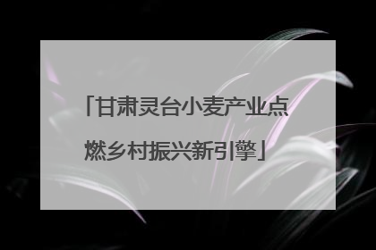 甘肃灵台小麦产业点燃乡村振兴新引擎