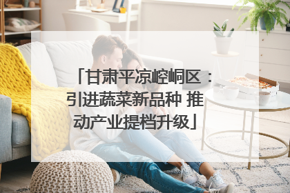 甘肃平凉崆峒区：引进蔬菜新品种 推动产业提档升级