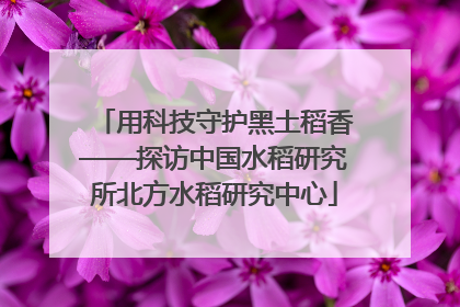 用科技守护黑土稻香——探访中国水稻研究所北方水稻研究中心