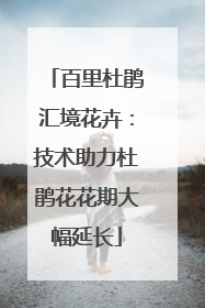 百里杜鹃汇境花卉：技术助力杜鹃花花期大幅延长