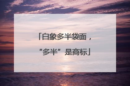 白象多半袋面，“多半”是商标