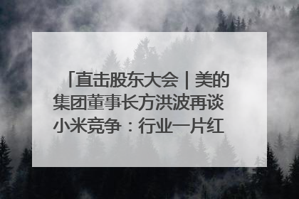 直击股东大会｜美的集团董事长方洪波再谈小米竞争：行业一片红海，打法已固定，无论谁胜都是消耗战